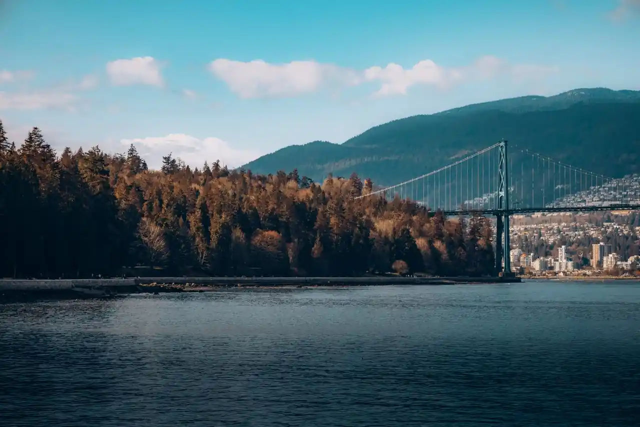 Lions Gate Bridge framed by natural greenery and ocean inlet