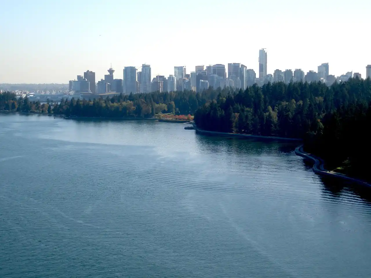 Stanley Park lush greenery bordered by the ocean and distant skyline